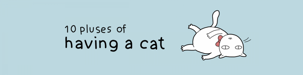 10 benefits of having a cat