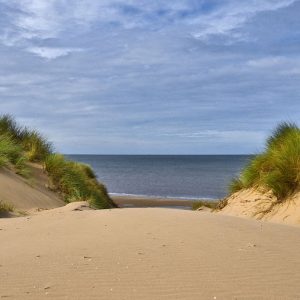 5 reasons to visit Formby