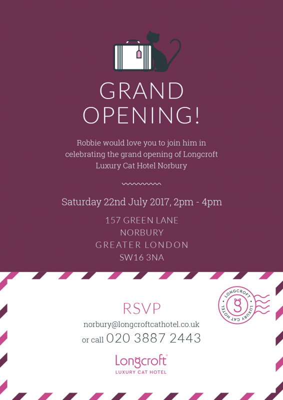 Longcroft Luxury Cat Hotel Norbury South West London Grand Opening