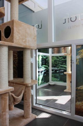 Longcroft Luxury Cat Hotel Margate, Kent