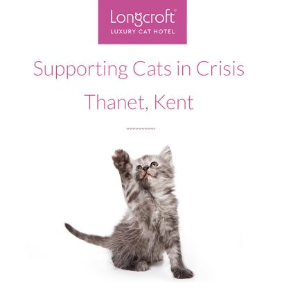 Cats In Crisis Thanet Kent