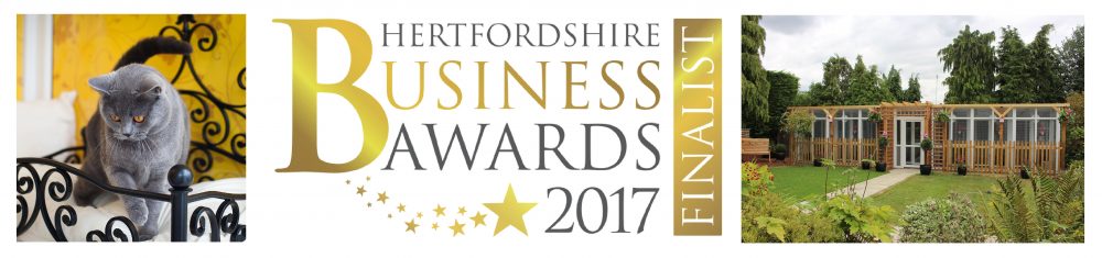 Herts Business Awards Winners | Longcroft | Luxury Cat Hotel Group