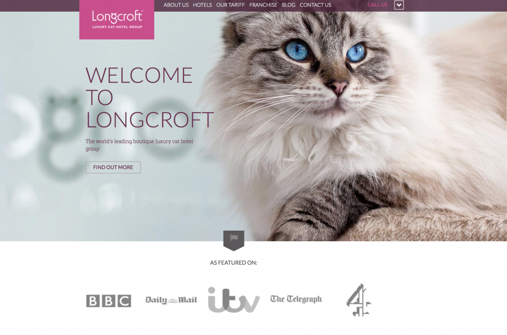 Award winning website | Longcroft Luxury Cat Hotel